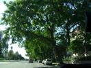 <img0*100:stuff/aj/42000/1256171844.jpg>