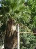 <img0*100:stuff/aj/42000/1256172867.jpg>