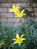 <img0*100:stuff/aj/42000/1256172907.jpg>
