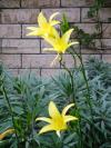 <img100*0:stuff/aj/42000/1256172907.jpg>
