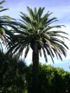 <img100*0:stuff/aj/42000/1256173073.jpg>