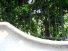 <img100*0:stuff/aj/42000/1256173197.jpg>