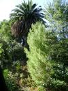 <img100*0:stuff/aj/42000/1256173310.jpg>