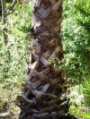 <img100*0:stuff/aj/42000/1256173671.jpg>