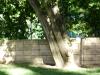 <img100*0:stuff/aj/42000/1256173710.jpg>
