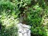 <img100*0:stuff/aj/42000/1256173753.jpg>