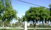 <img100*0:stuff/aj/42000/1256174442.jpg>