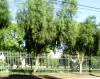 <img100*0:stuff/aj/42000/1256174477.jpg>