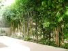 <img100*0:stuff/aj/42000/1256174953.jpg>