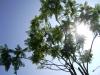 <img100*0:stuff/aj/42000/1257196198.jpg>