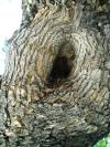 <img100*0:stuff/aj/42000/1257197568.jpg>