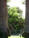<img100*0:stuff/aj/42000/1258473699.jpg>