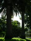<img100*0:stuff/aj/42000/1258473727.jpg>