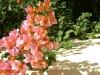 <img100*0:stuff/aj/42000/1258474334.jpg>