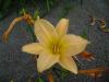 <img100*0:stuff/aj/42000/1258476566.jpg>