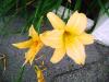 <img100*0:stuff/aj/42000/1258476594.jpg>