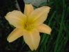<img100*0:stuff/aj/42000/1258476651.jpg>
