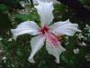 <img100*0:stuff/aj/42000/1258476830.jpg>