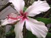 <img100*0:stuff/aj/42000/1258477026.jpg>