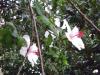 <img100*0:stuff/aj/42000/1258477067.jpg>