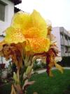 <img100*0:stuff/aj/42000/1258477144.jpg>