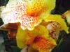 <img100*0:stuff/aj/42000/1258477371.jpg>