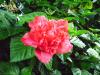 <img100*0:stuff/aj/42000/1258477715.jpg>
