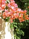 <img100*0:stuff/aj/42000/1258477784.jpg>