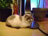 <img100*0:stuff/aj/42000/1258478512.jpg>