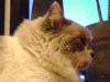 <img100*0:stuff/aj/42000/1258478591.jpg>