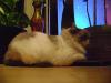 <img100*0:stuff/aj/42000/1258478640.jpg>
