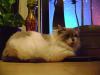 <img100*0:stuff/aj/42000/1258478723.jpg>