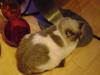 <img100*0:stuff/aj/42000/1258496118.jpg>