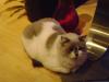<img100*0:stuff/aj/42000/1258496160.jpg>