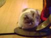 <img100*0:stuff/aj/42000/1258499434.jpg>