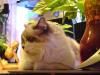 <img100*0:stuff/aj/42000/1258499813.jpg>