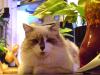 <img100*0:stuff/aj/42000/1258499860.jpg>