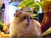 <img100*0:stuff/aj/42000/1258499946.jpg>