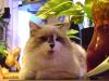 <img100*0:stuff/aj/42000/1258500004.jpg>