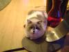 <img100*0:stuff/aj/42000/1258500226.jpg>