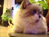 <img100*0:stuff/aj/42000/1258561590.jpg>