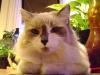 <img100*0:stuff/aj/42000/1258561712.jpg>