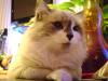 <img100*0:stuff/aj/42000/1258561985.jpg>