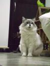 <img100*0:stuff/aj/42000/1258562354.jpg>