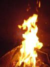 <img100*0:stuff/aj/42000/1262125235.jpg>