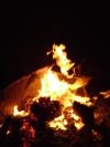 <img100*0:stuff/aj/42000/1262125711.jpg>