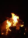 <img100*0:stuff/aj/42000/1262126042.jpg>