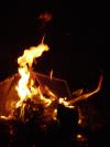 <img100*0:stuff/aj/42000/1262126130.jpg>