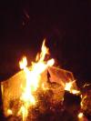 <img100*0:stuff/aj/42000/1262126934.jpg>