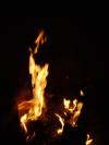 <img100*0:stuff/aj/42000/1262126991.jpg>